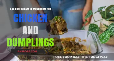 Cream of Mushroom in Chicken and Dumplings: A Tasty Twist?