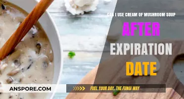Using Expired Cream of Mushroom Soup: Safe or Risky?