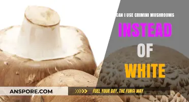 Crimini Mushrooms: A Tasty Substitute for White Mushrooms?