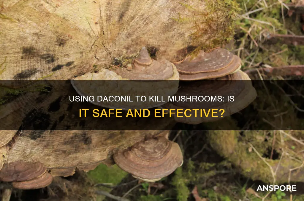 can i use daconil to kill mushrooms