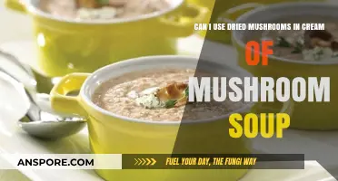 Using Dried Mushrooms in Cream of Mushroom Soup: Tips and Tricks