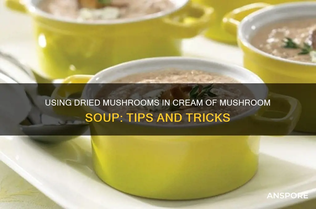 can i use dried mushrooms in cream of mushroom soup