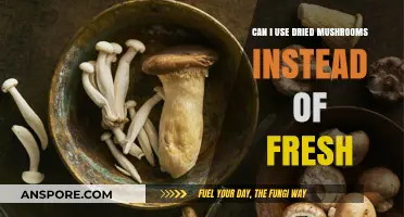 Dried vs. Fresh Mushrooms: Can You Substitute in Recipes?