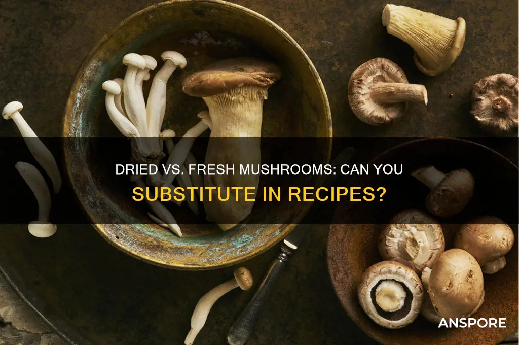 can i use dried mushrooms instead of fresh