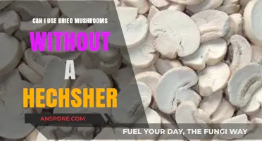 Using Dried Mushrooms Without a Hechsher: Kosher Guidelines Explained