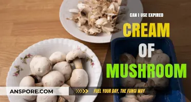 Is Expired Cream of Mushroom Safe to Use? Find Out Here