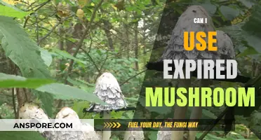 Expired Mushrooms: Safe to Eat or Toss? Expert Advice