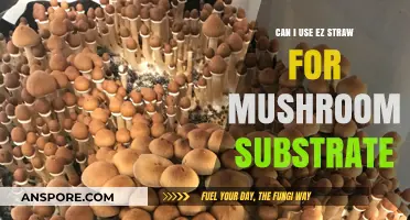 Using EZ Straw for Mushroom Substrate: Benefits, Tips, and Best Practices