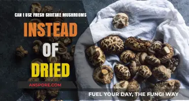 Fresh vs. Dried Shiitake Mushrooms: Which One Should You Use?