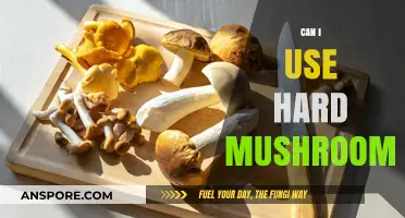 Using Hard Mushrooms: Safety, Benefits, and Culinary Tips Explained