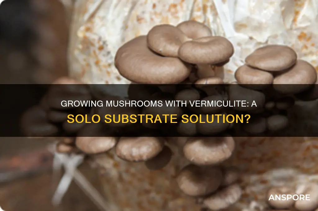 can i use just vermiculite to grow mushrooms