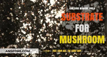 Using Manure as Mushroom Substrate: Benefits, Risks, and Best Practices