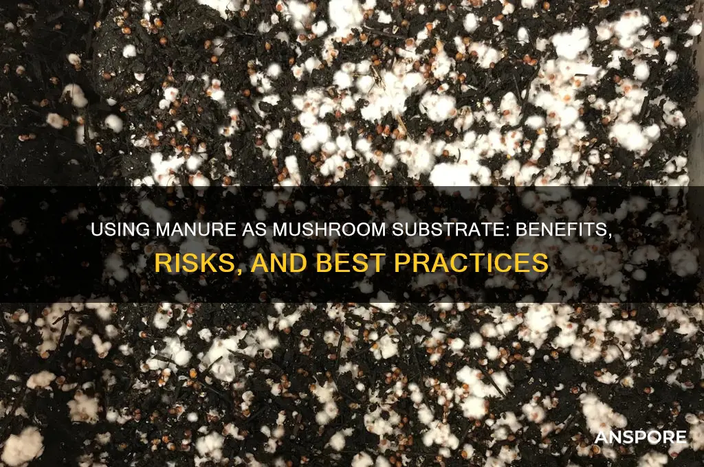can i use manure for a substrate for mushrooms