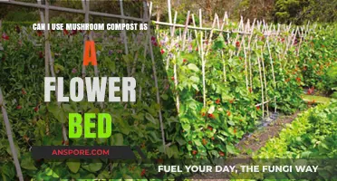 Mushroom Compost for Flower Beds: Benefits, Uses, and Tips