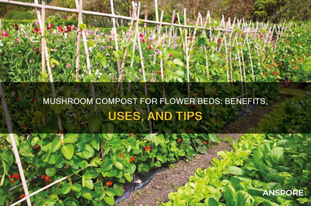 can i use mushroom compost as a flower bed