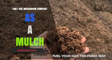 Mushroom Compost as Mulch: Benefits, Uses, and Best Practices