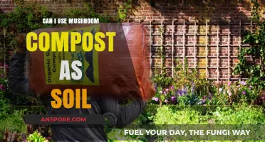Using Mushroom Compost as Soil: Benefits, Risks, and Best Practices