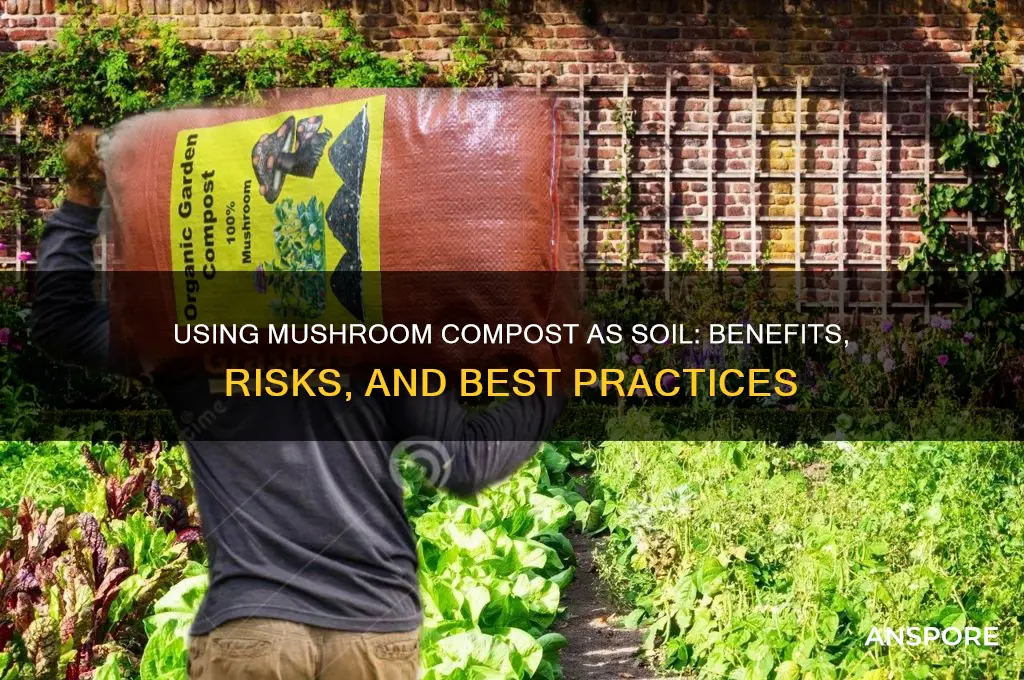 can i use mushroom compost as soil
