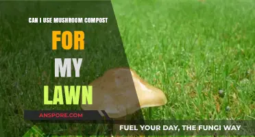 Mushroom Compost for Lawns: Benefits, Application, and Best Practices