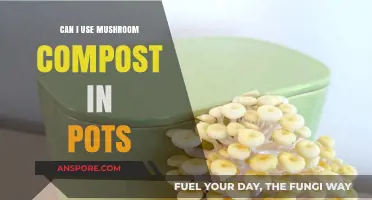 Using Mushroom Compost in Pots: Benefits, Tips, and Best Practices