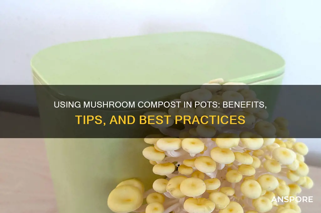 can i use mushroom compost in pots