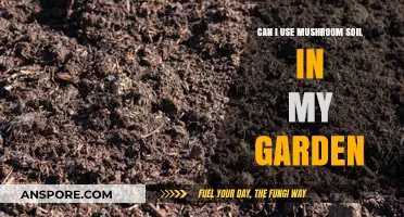 Using Mushroom Soil in Your Garden: Benefits and Best Practices