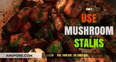 Mushroom Stalks: Creative Uses and Culinary Potential Explored