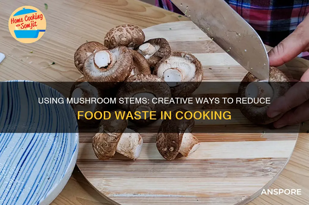 can i use mushroom stems