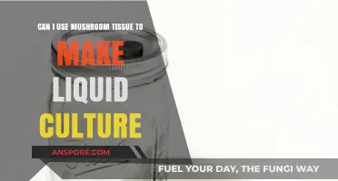 Using Mushroom Tissue for Liquid Culture: A Viable Method?
