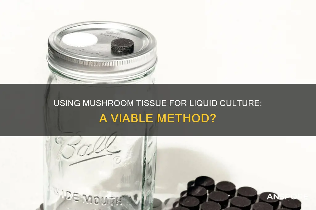 can i use mushroom tissue to make liquid culture
