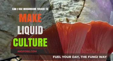 Using Mushroom Tissue for Liquid Culture: A Viable Method?