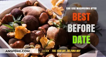 Mushrooms Past Best Before: Safe to Eat or Toss?