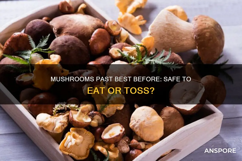 can i use mushrooms after best before date
