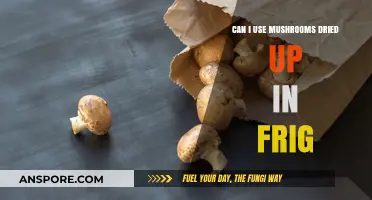 Using Dried Mushrooms from the Fridge: Tips and Best Practices