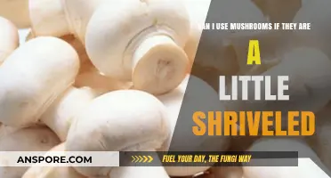 Shriveled Mushrooms: Safe to Use or Time to Toss?