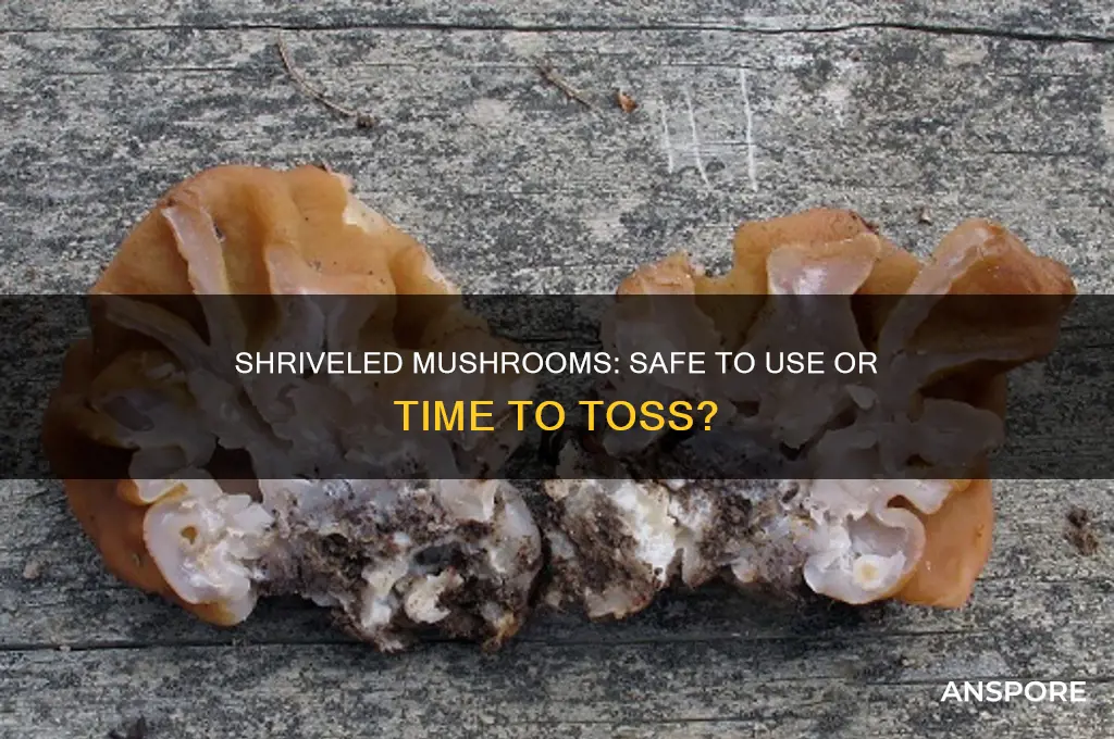 can i use mushrooms if they are a little shriveled