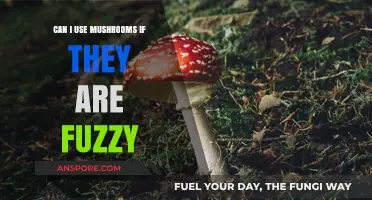 Fuzzy Mushrooms: Safe to Eat or Toss? Expert Advice
