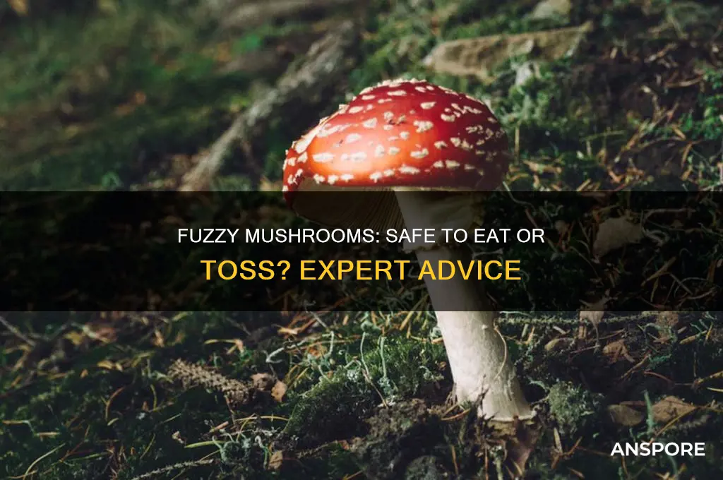can i use mushrooms if they are fuzzy
