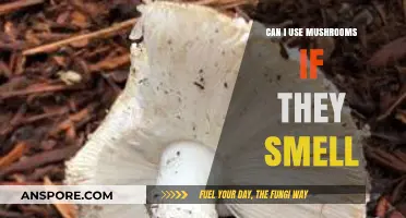 Mushroom Smell: Safe to Use or Time to Toss?