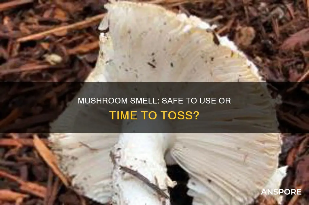 can i use mushrooms if they smell