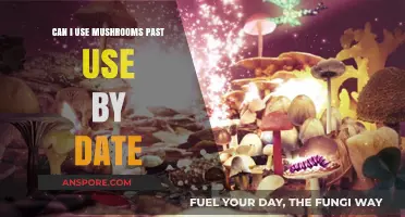 Using Mushrooms Past Their Use-By Date: Safe or Risky?