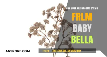 Using Baby Bella Mushroom Stems: Tips and Creative Culinary Ideas