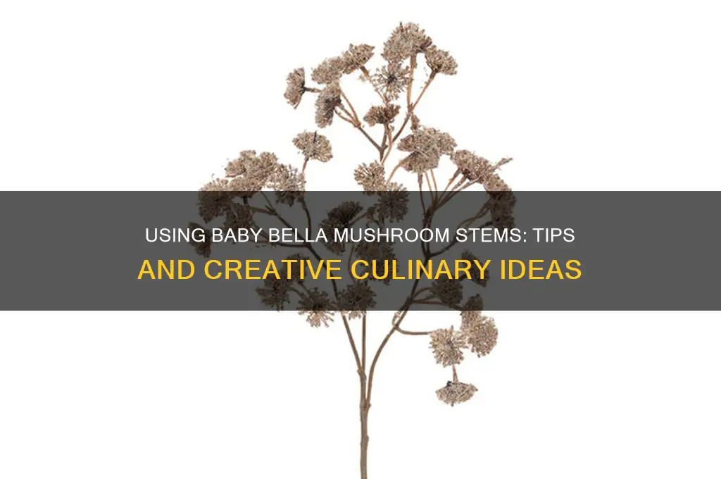 can i use mushrooms stems frlm baby bella