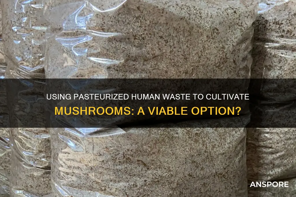 can i use my own pasteurized poop to grow mushrooms