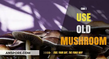 Reviving Old Mushrooms: Safe Usage Tips and Creative Recipes