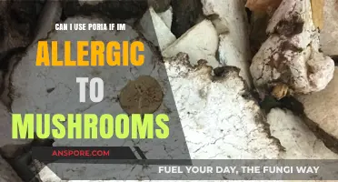 Poria and Mushroom Allergies: Safe Usage or Risky Choice?
