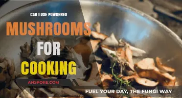Using Powdered Mushrooms in Cooking: Benefits, Tips, and Recipe Ideas