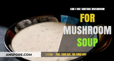 Shiitake Mushroom Soup: A Delicious and Nutritious Recipe Idea