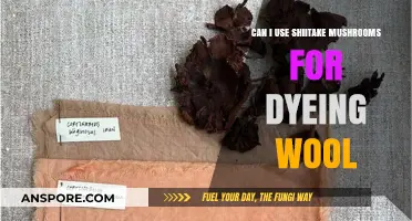 Shiitake Mushrooms for Wool Dyeing: A Natural Color Exploration