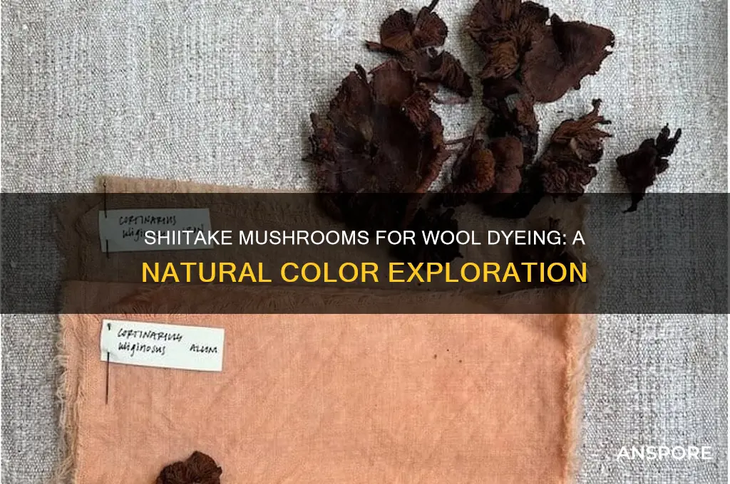 can i use shiitake mushrooms for dyeing wool